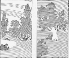 Decorative Wood Panels 113