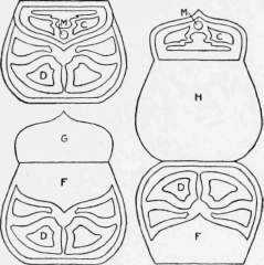 Pattern for Purse