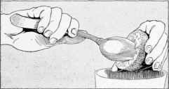 The Shape of the Spoon Bowl Produces the Same Effect as the Lemon Squeezer 