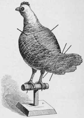 The Bird Prepared Cob Drying.