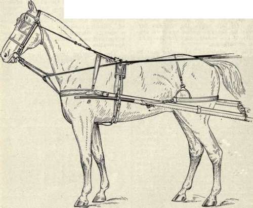 How To Harness A Horse 208