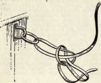 How To Harness A Horse 210