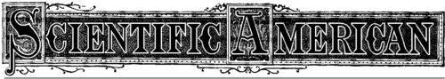 Issue Title.