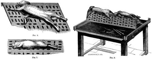 Fig. 6 8 APPARATUS USED IN VIVISECTION.