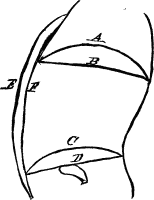 The Influence Of Normal Breathing On The Female Ge 388 11a