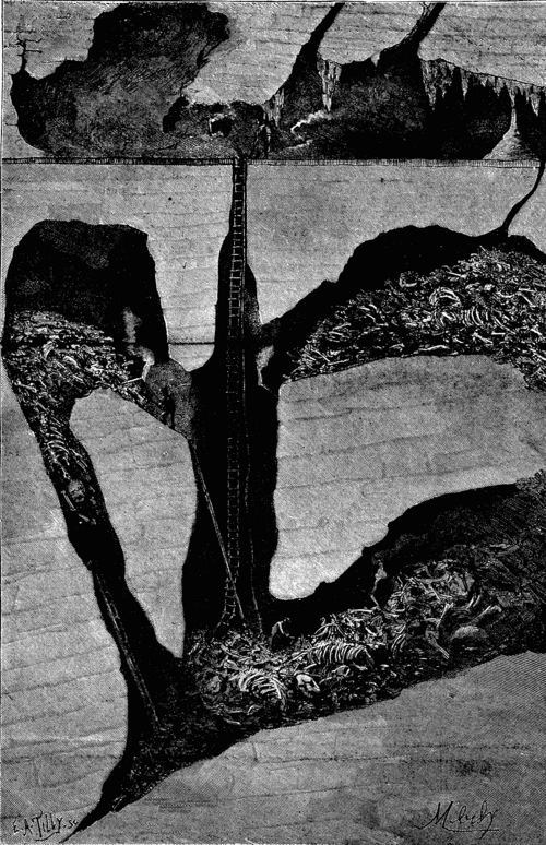 Fig. 1. SECTION OF THE GROTTO OF GARGAS.