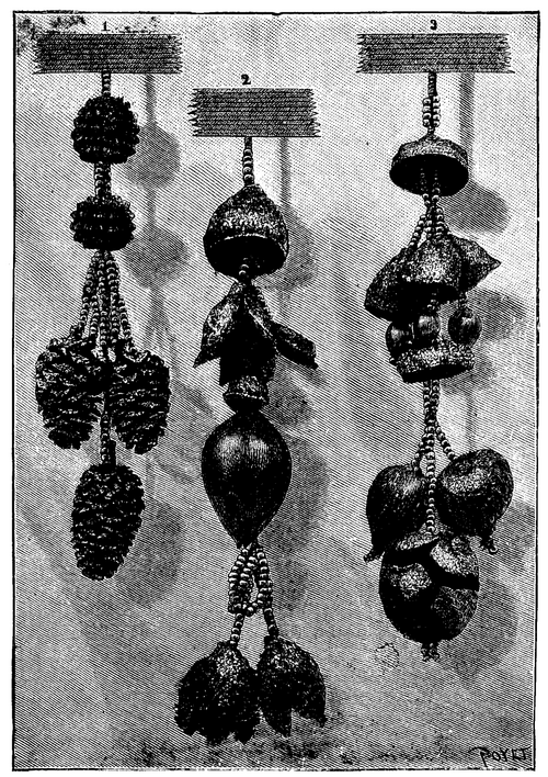 Fruits And Seeds For Dress Trimming 530 15a
