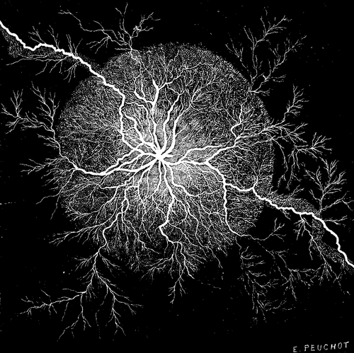 The Electric Discharge And Spark Photographed Dire 483 12d