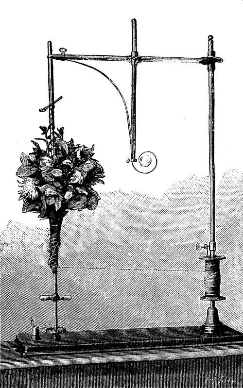 APPARATUS FOR MAKING BOUQUETS.