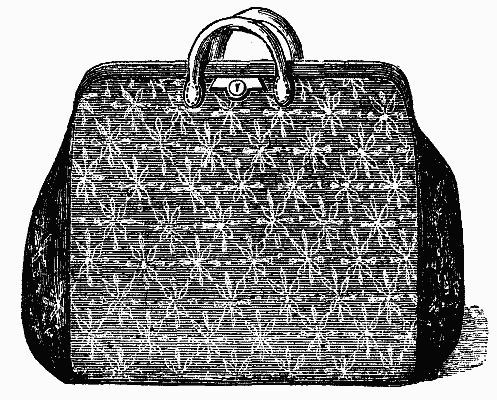 FIG 1. THE CARPET BAG.