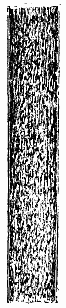 Quartz Fibers 717 07_1