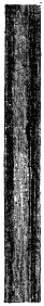 Quartz Fibers 717 07_2