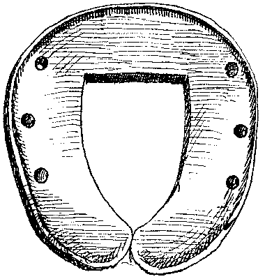 Historical Development Of The Horseshoe 819 06 fig8