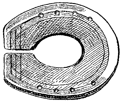 Historical Development Of The Horseshoe 819 06 fig9