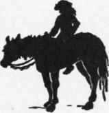VII The Story Of The Colt Qeytas 9