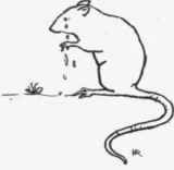 XLV The Sad Story Of The Beetle The Mouse And The 51