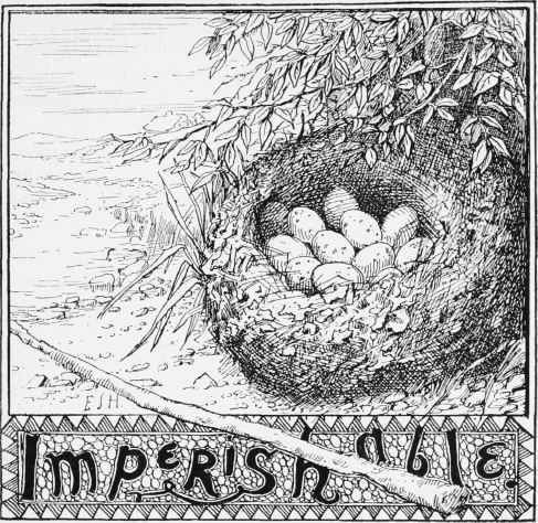 Imperishable 39