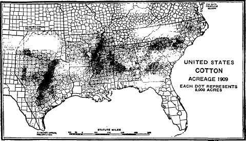 Acreage of cotton.