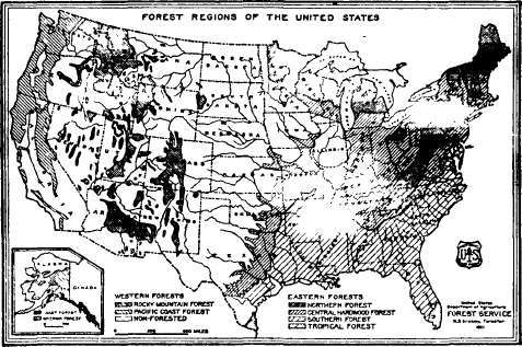 Forest Region of the United States