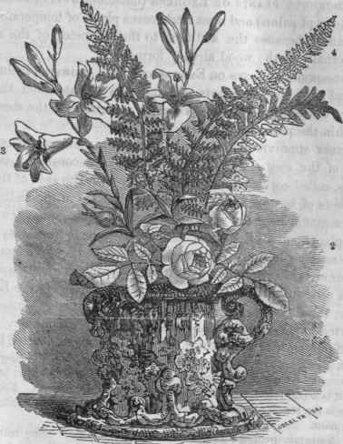 2, Rose (flowers double) an Exogen