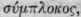 Aquifoliaceae Hollyworts Continued 1014