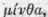 Labiatae Labiate Plants Part 5 1244