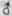 Order CLVI Gramineae Grasses Part 13 2559