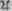 Order CLVI Gramineae Grasses Part 13 2560
