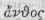Order CXII Euphorbiaceae Spurgeworts Part 6 1664