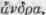 Order CXII Euphorbiaceae Spurgeworts Part 6 1672