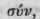 Scrophulariaceae Figworts Part 7 1127