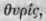Scrophulariaceae Figworts Part 7 1128