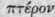 Suborders And Tribes Part 31 925