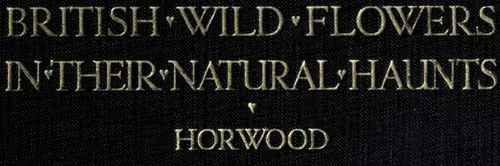 British Wild Flowers In Their Natuaral Haunts