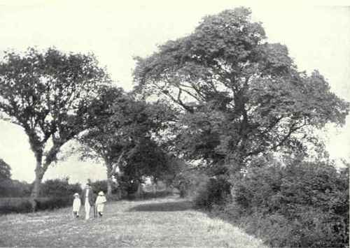 General View of Roadside