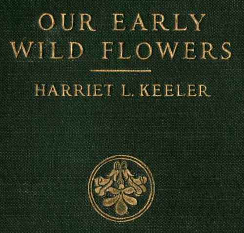 Our Early Wild Flowers