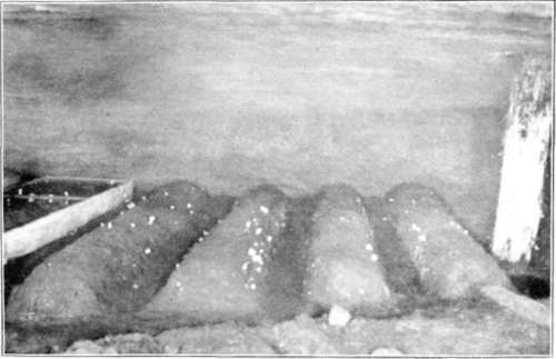 Figure 225. View in Wheatland cave, showing ridge beds, and one flat bed
