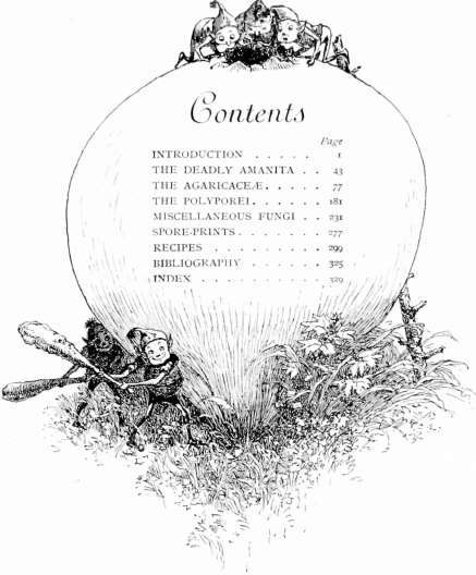 contents