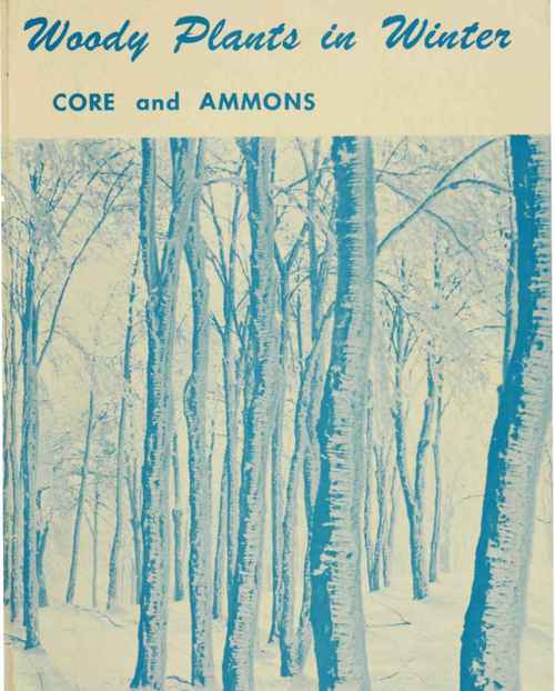Woody Plants in Winter
