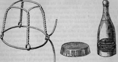 Fig. 294. Patent Wire and Cap, with Specimen of Finished Bottle
