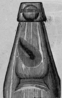 Fig. 298. Codd's Patent Stopper