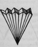 Fig. 360.   Plaited Paper Filter