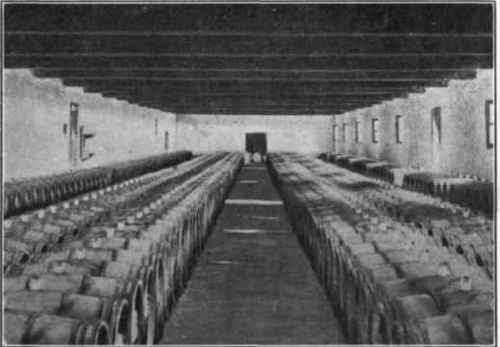 Fig. 24. A Cellar for New Wine (Chateau La Tour). (Courtesy of Barton and Guestier.)
