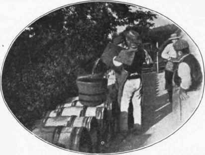 Fig. 32. Pouring the wine into casks. (Courtesy of Barton and Guestier.)
