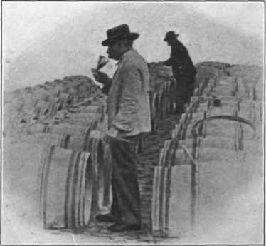 Fig. 33. Head cellar man tasting a vintage wine. (Courtesy of Barton and Guestier.)