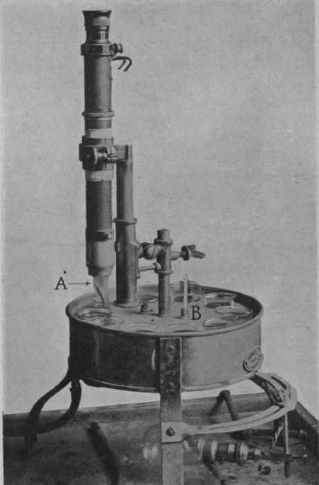 Fig. 46.   immersion refractometer, with rotating water.bath. A, prism, which dips into the liquid in the glass beneath; B, bath with thermometer.