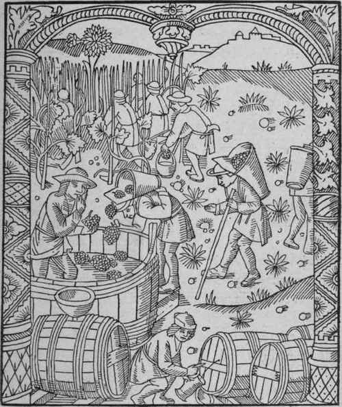 Compost Et Kalendrier Des Bergeres