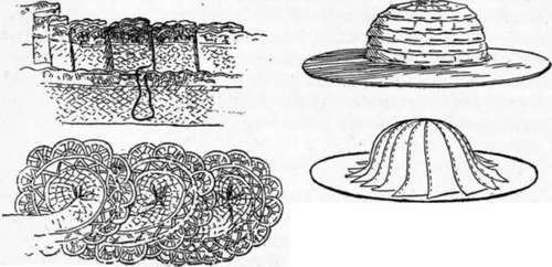 Fig. 115