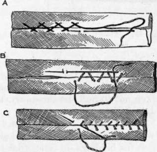 Fig. 116