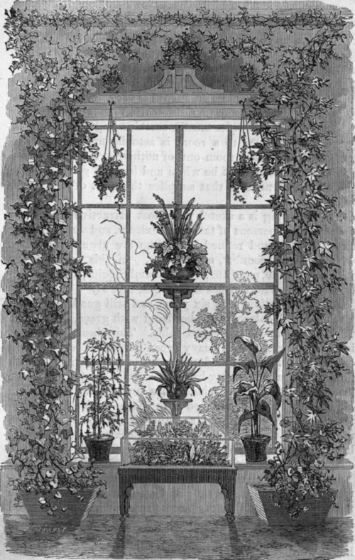 Fig. 41.